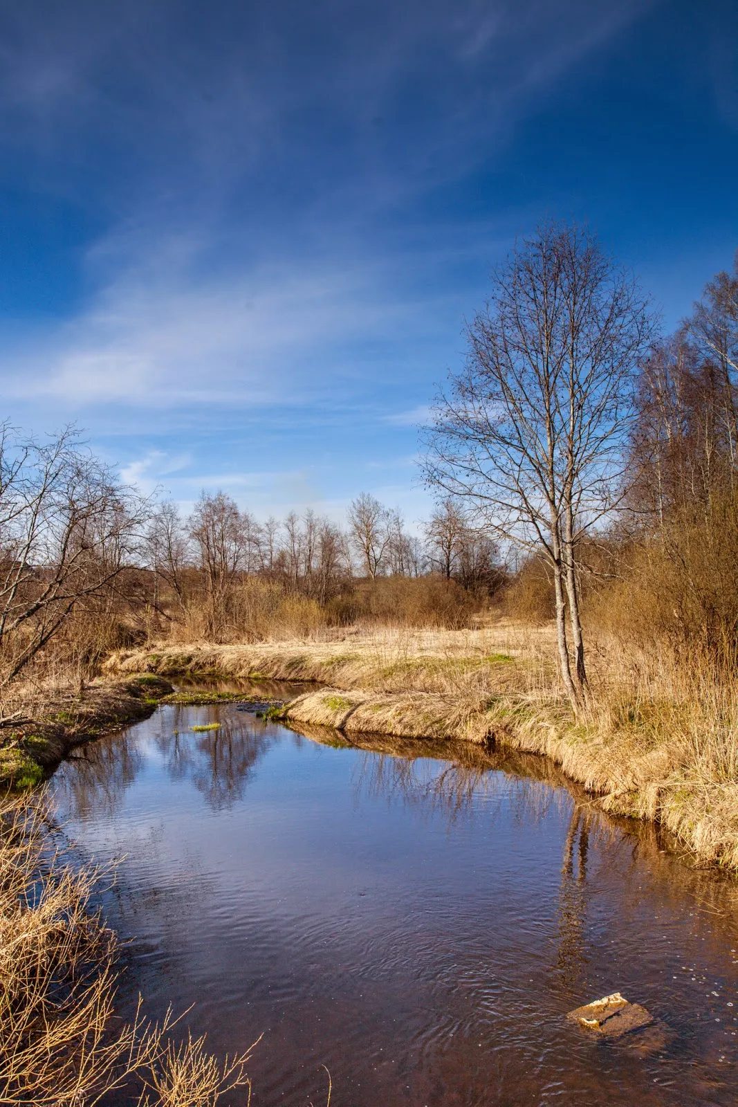 Конный поход по Тверской области в село Красное