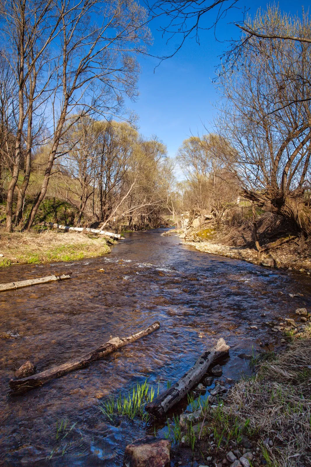 Конный поход по Тверской области в село Красное