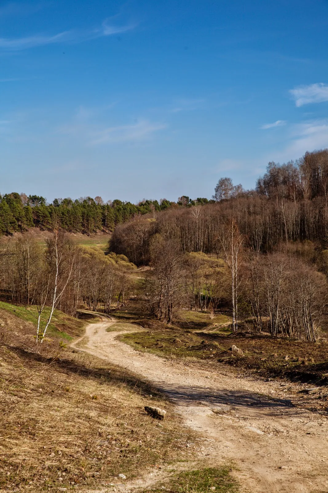 Конный поход по Тверской области в село Красное