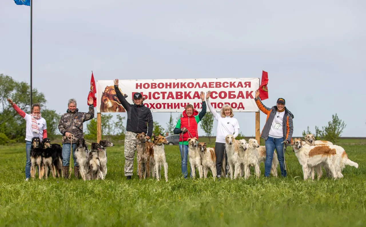 Питомник русской псовой борзой "Сенавиан"