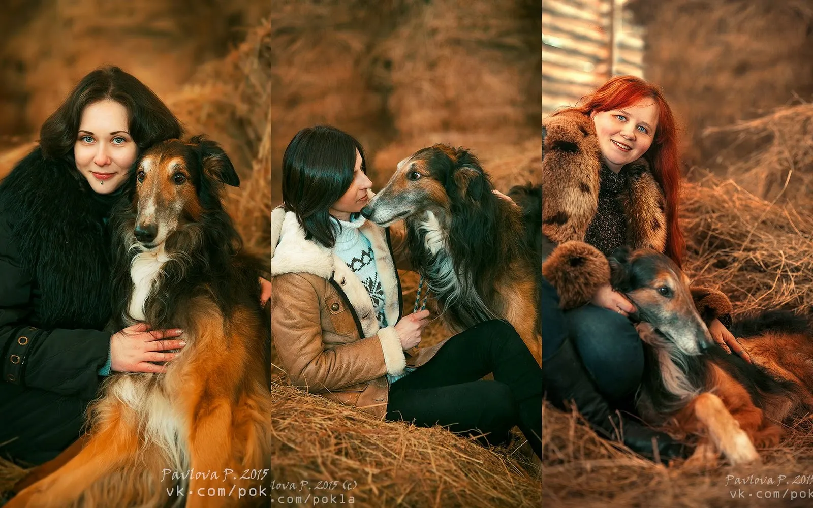  Фотосессии с лошадьми, картины с лошадьми и не только